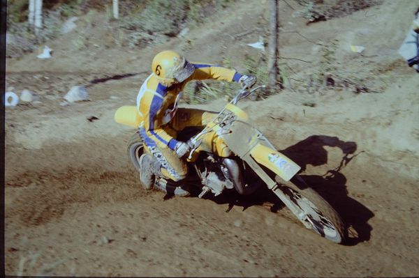 Harry Everts B